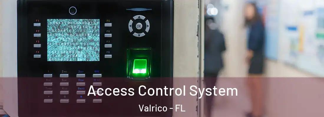  Access Control System Valrico - FL