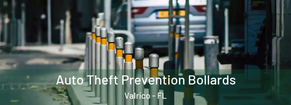 Auto Theft Prevention Bollards Valrico - FL