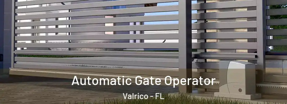  Automatic Gate Operator Valrico - FL