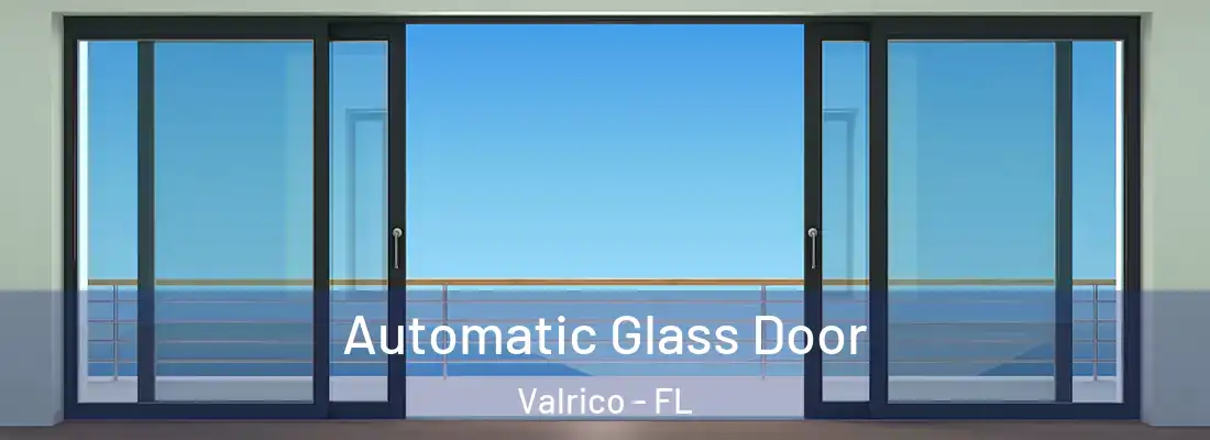 Automatic Glass Door Valrico - FL