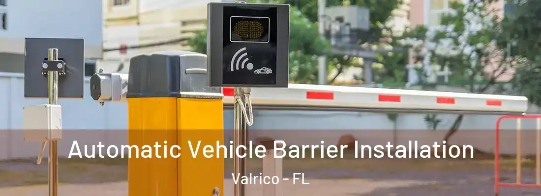 Automatic Vehicle Barrier Installation Valrico - FL