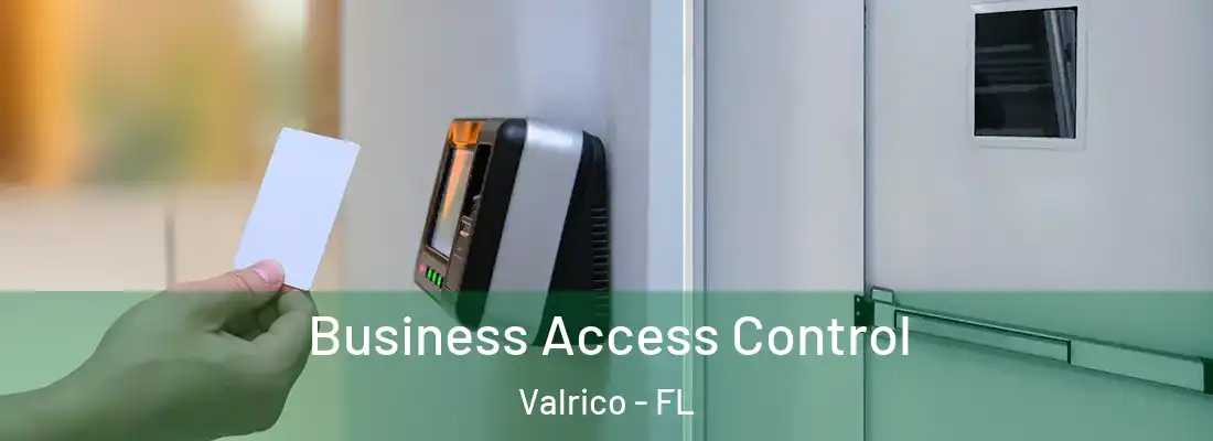  Business Access Control Valrico - FL