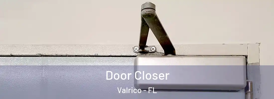 Door Closer Valrico - FL