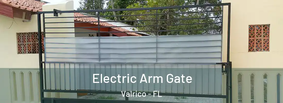 Electric Arm Gate Valrico - FL