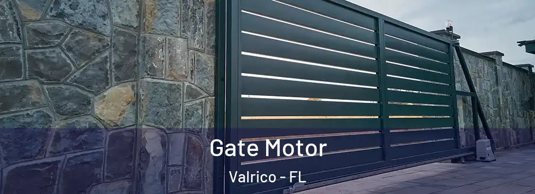  Gate Motor Valrico - FL