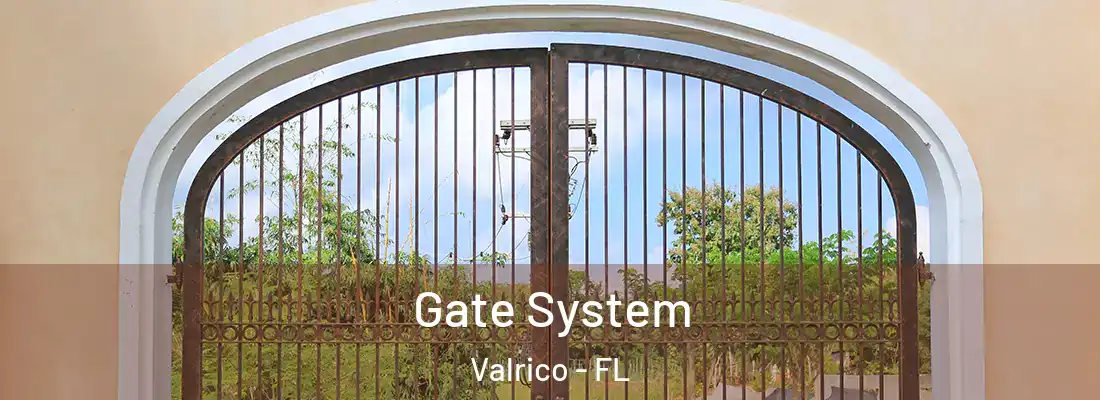 Gate System Valrico - FL