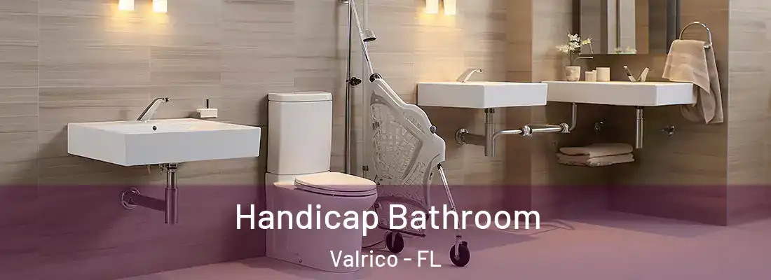 Handicap Bathroom Valrico - FL