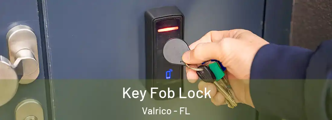  Key Fob Lock Valrico - FL