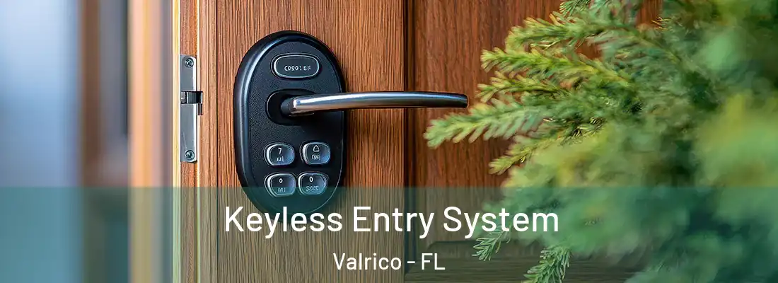  Keyless Entry System Valrico - FL