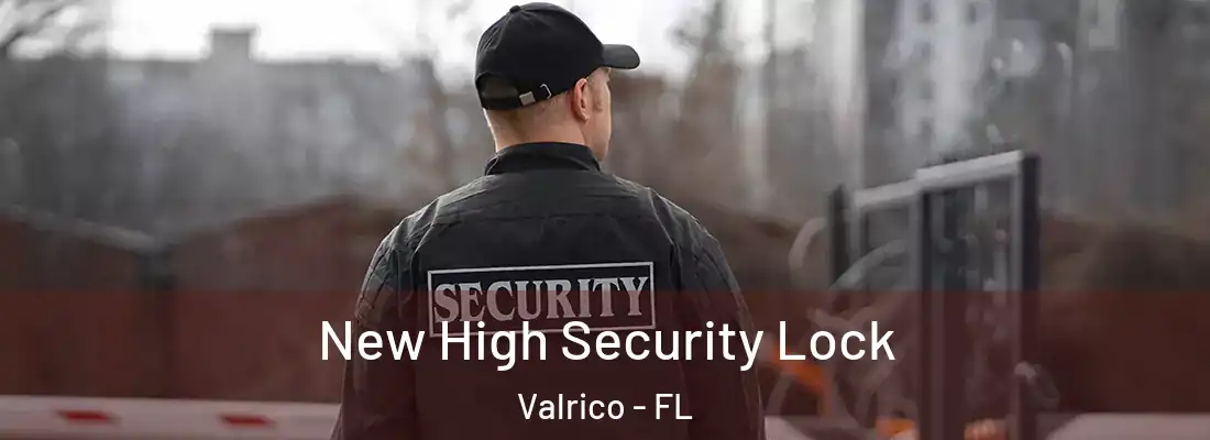  New High Security Lock Valrico - FL