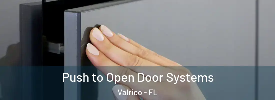  Push to Open Door Systems Valrico - FL