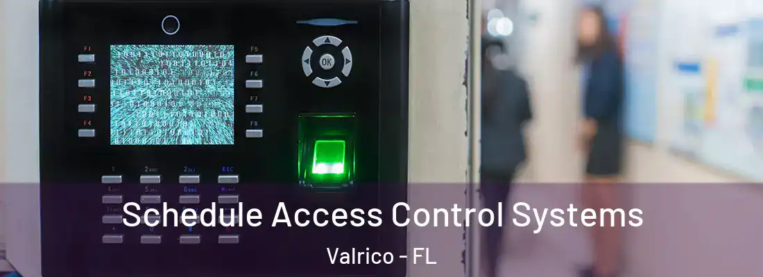  Schedule Access Control Systems Valrico - FL