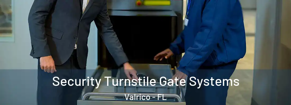  Security Turnstile Gate Systems Valrico - FL